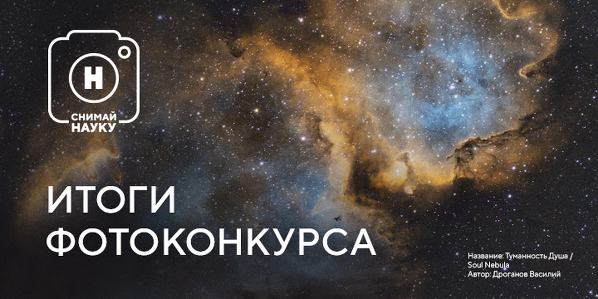 Секвойя в пробирке и встреча с пращуром: подведены итоги фотоконкурса «Снимай науку!»