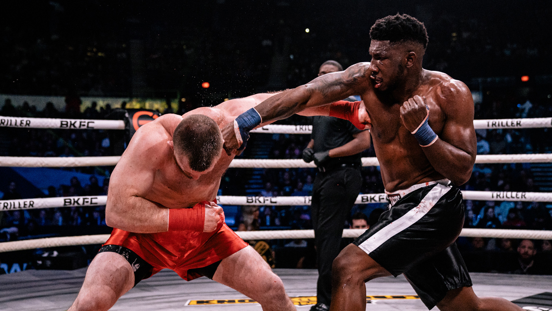 Портер Уилсон, Кейси померится с Винсентом, бой красоток Баллу – Дагнер: супертурнир Bare Knuckle FC на голых кулаках на канале «МАТЧ!»