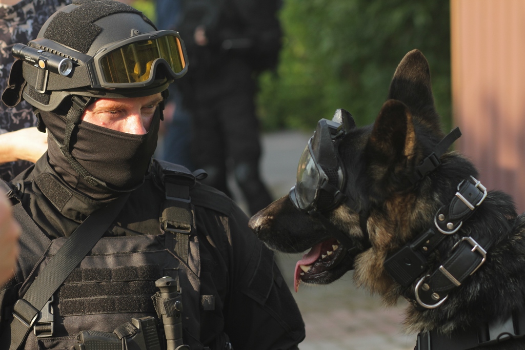 Собачий спецназ: РЕН ТВ покажет премьеру остросюжетного сериала «РембО» в апреле