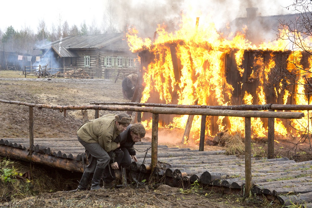 Сучья война: рецензия