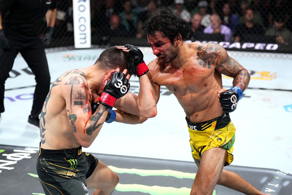 Борщев против Маккинни, чемпионский бой Топурия – Оливейра, титульник Пантожа – Кара-Франс: смотрим ночной супертурнир UFC 317 на телеканале «МАТЧ!»