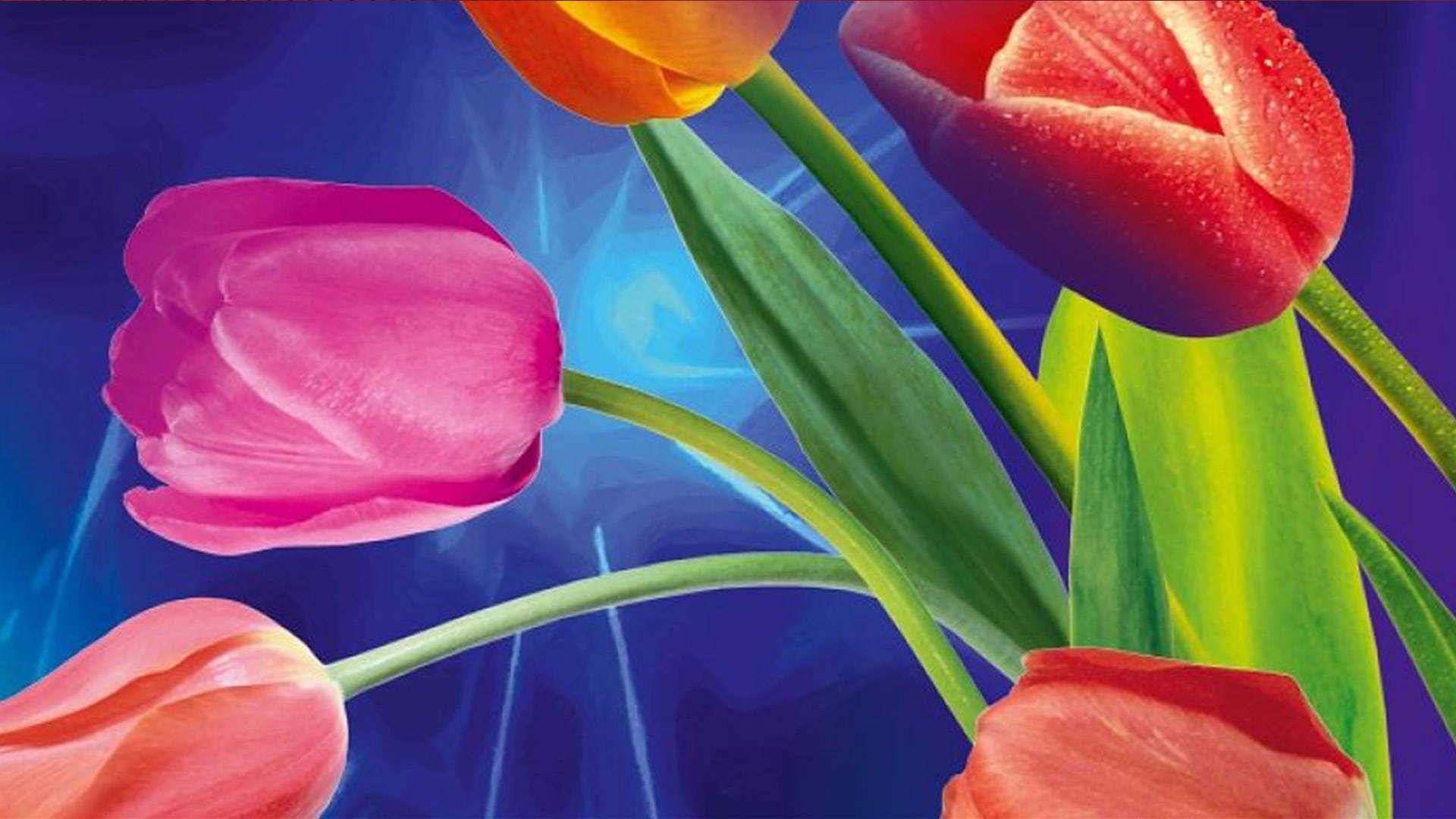 Звезды поздравляют