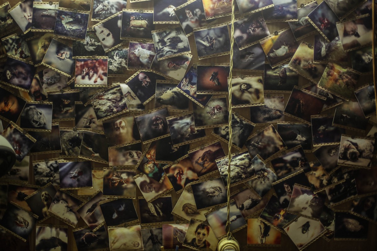 Нестандартная роль