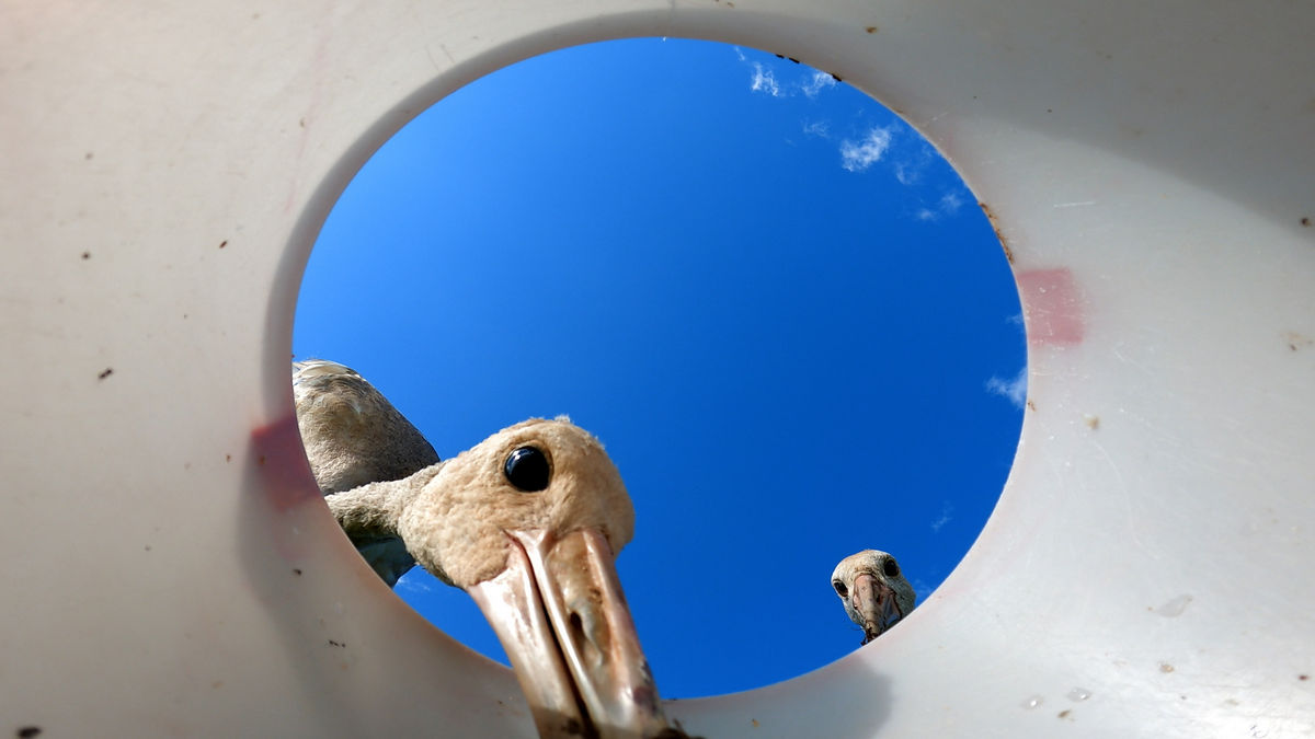 Десятый юбилейный: анонсирована программа международного фестиваля документального кино «Докер»