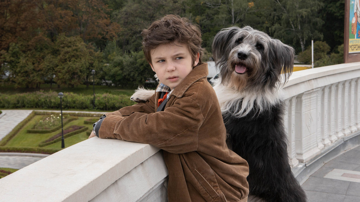 Как старое кино: в кинотеатрах выходит семейный фильм «Каждый мечтает о собаке»