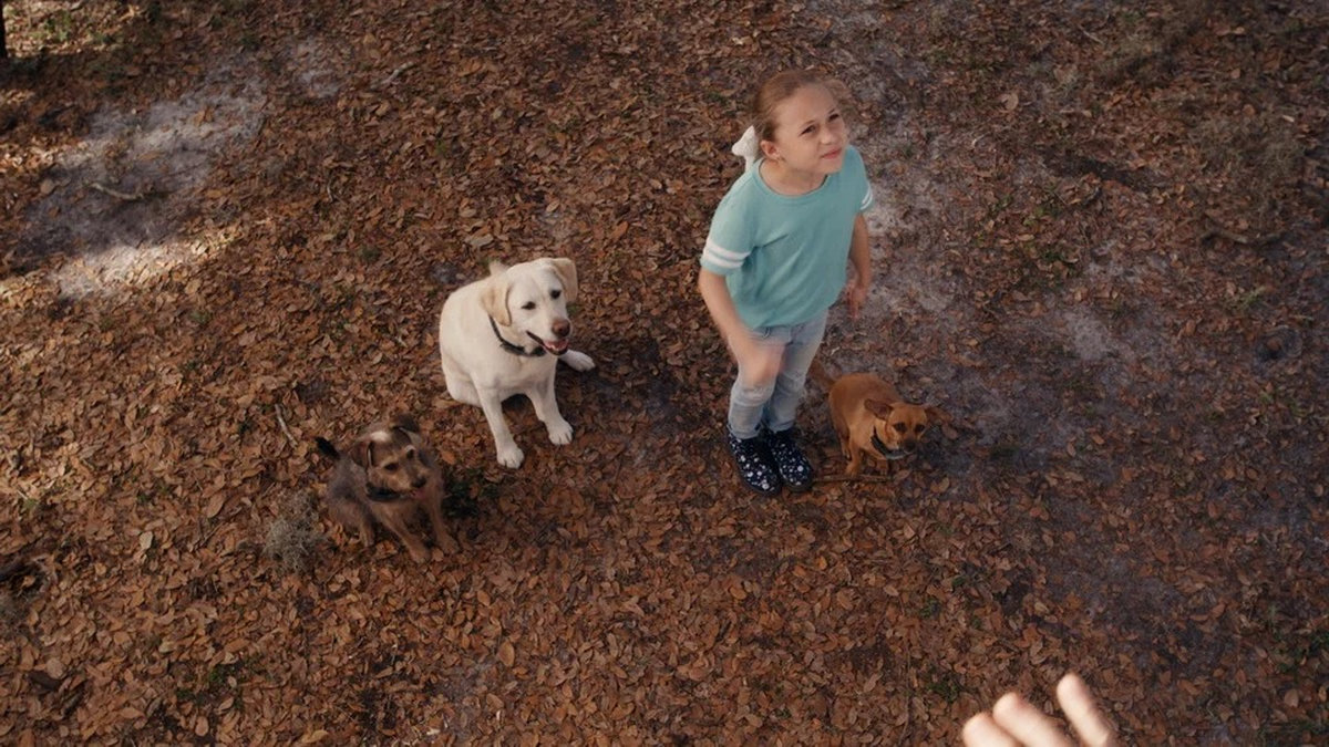 Курьер в космосе и хвостатые пришельцы: что посмотреть в День космонавтики на телеканале ТВ-3 