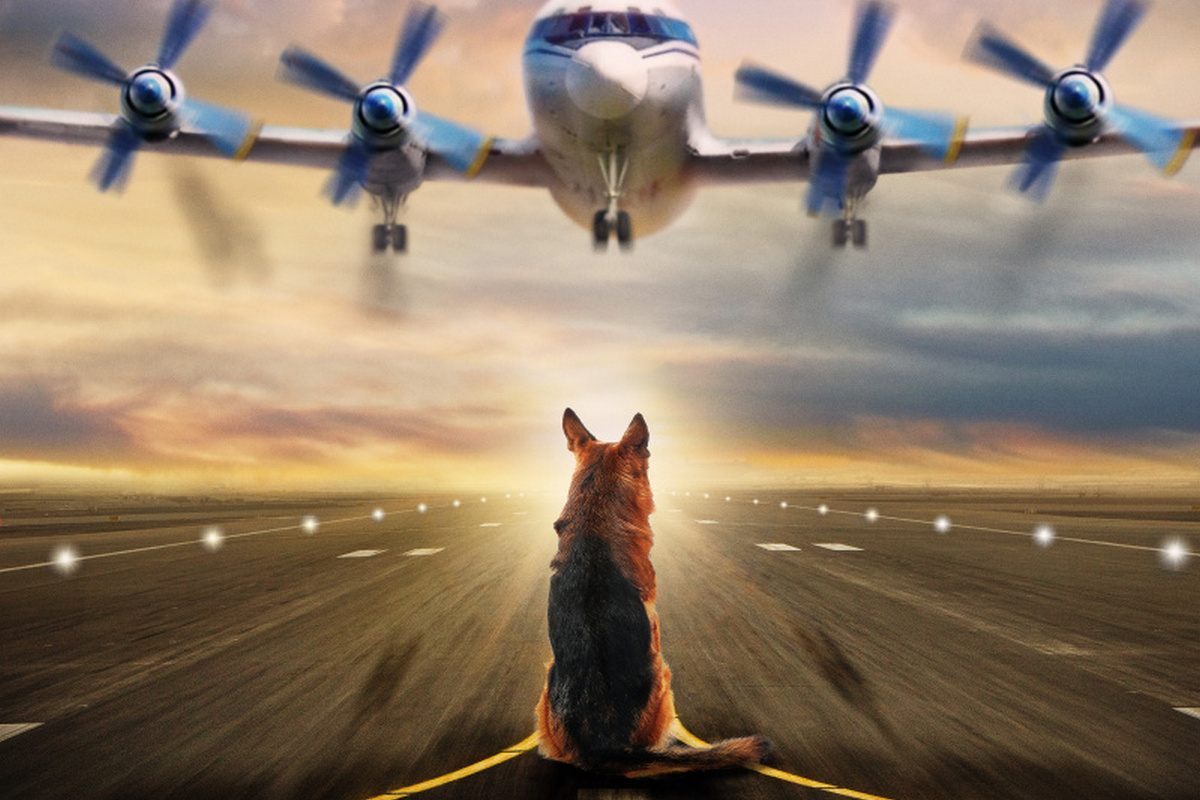 Спортивные драмы и древнерусское фэнтези: 10 ожидаемых российских премьер 2021 года