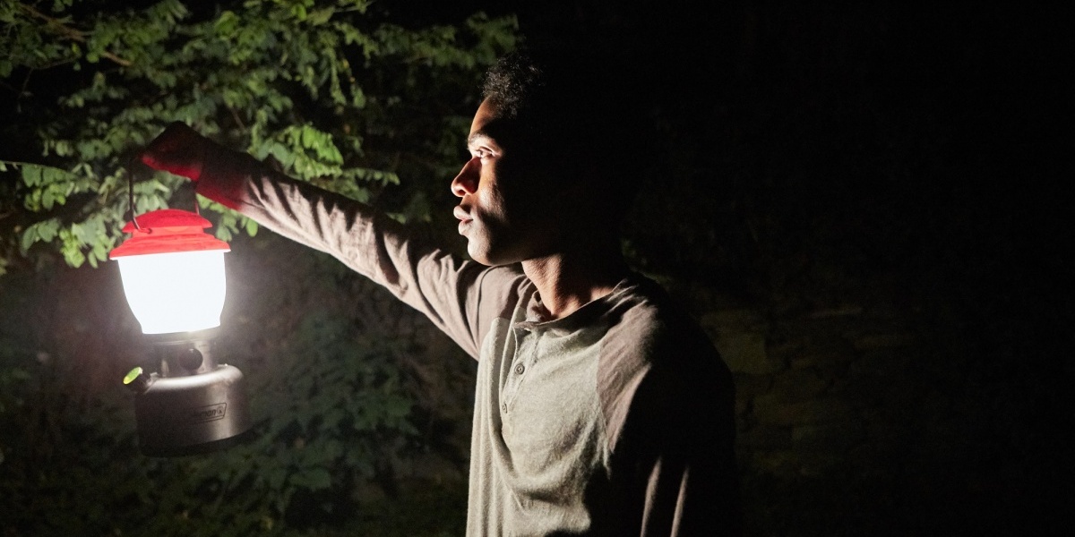 Лес, вирус, безысходность