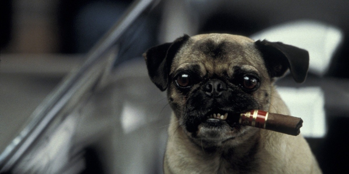 На страже спокойствия землян