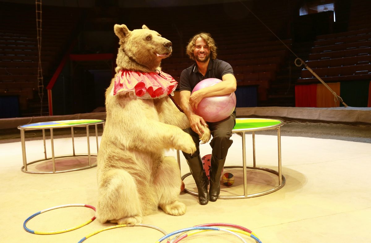 Финал сегодня: Первый канал завершает показ многосерийного ретродетектива «Солнечный круг»