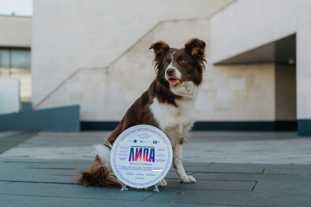 Евгений Ткачук после инцидента в Пулково выходит на съемочную площадку: началось основное производство фильма «Космическая собака Лида»