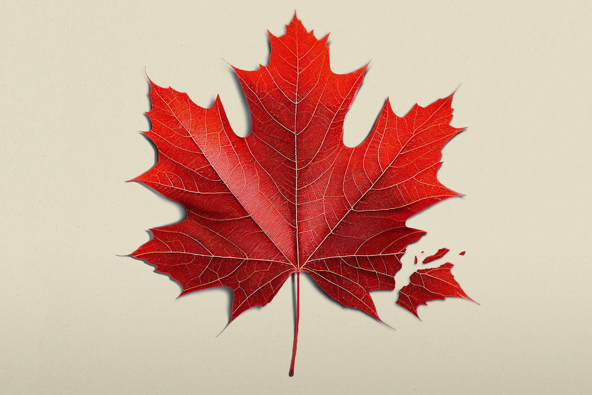 Почему новый фильм режиссера Пола Шредера называется «О, Канада»