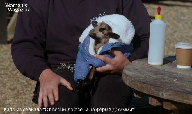 Я – девушка-настроение: сегодня целый день проведу дома, не желая никого видеть, а завтра отправлюсь автостопом на Алтай за новыми впечатлениями!