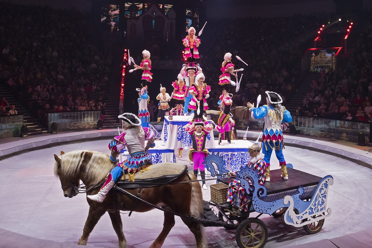 Морское царство: в Петербурге представят премьеру цирковой программы «Сказка о Золотой рыбке»