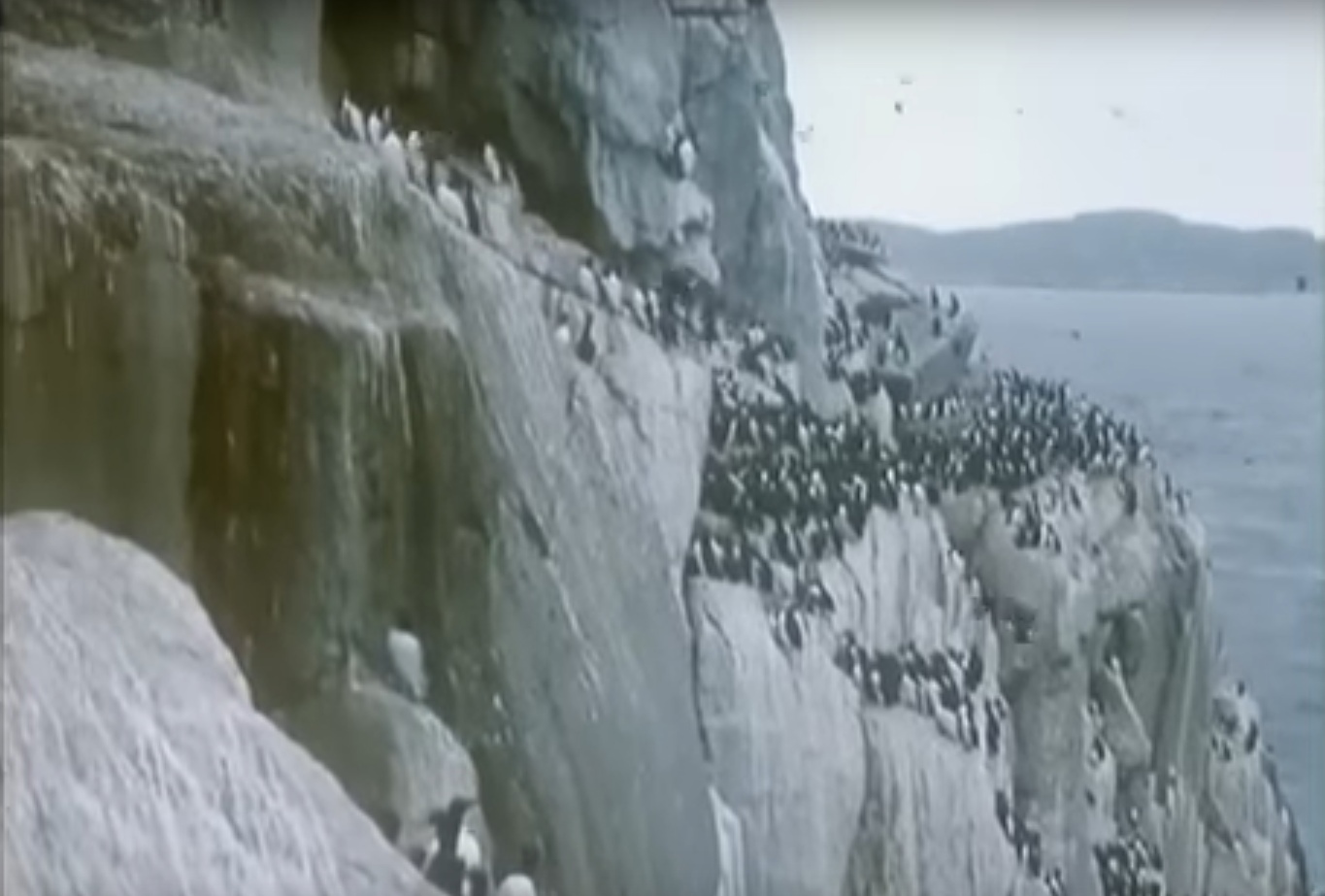 Скалы, птицы, нацисты: драма «Летняя поездка к морю» на канале «День Победы» показывает, как продовольственная экспедиция школьников закончилась битвой с немцами