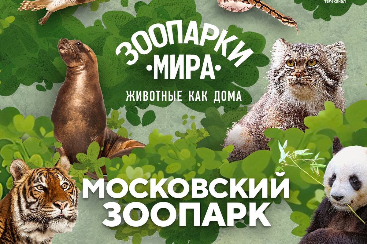 Уик-энд премьер: жизнь сельдяных королей, инстинкты павианов и игры хищников покажет телеканал «Живая Планета»