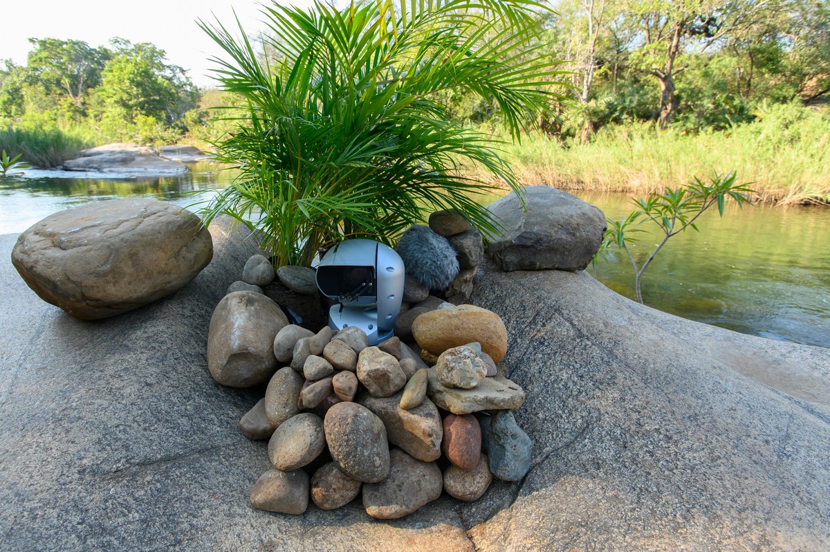 Команда смельчаков: ТНТ назвал имена еще четырех участников второго сезона шоу «Новые звезды в Африке»