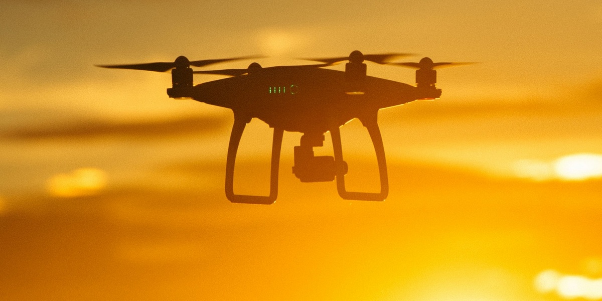 Обучение игре в теннис и наблюдение за китами