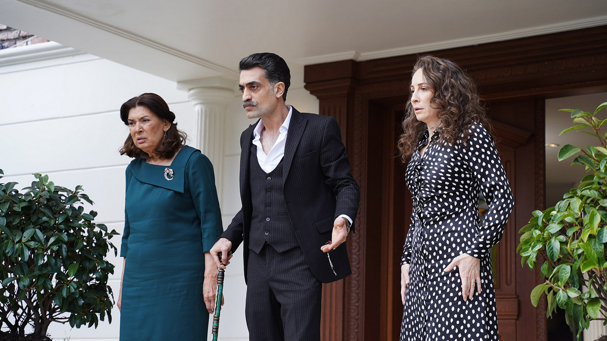 Трейлеры к 62-й серии турецкого сериала «Зимородок» наконец дают надежду на воссоединение СейФер