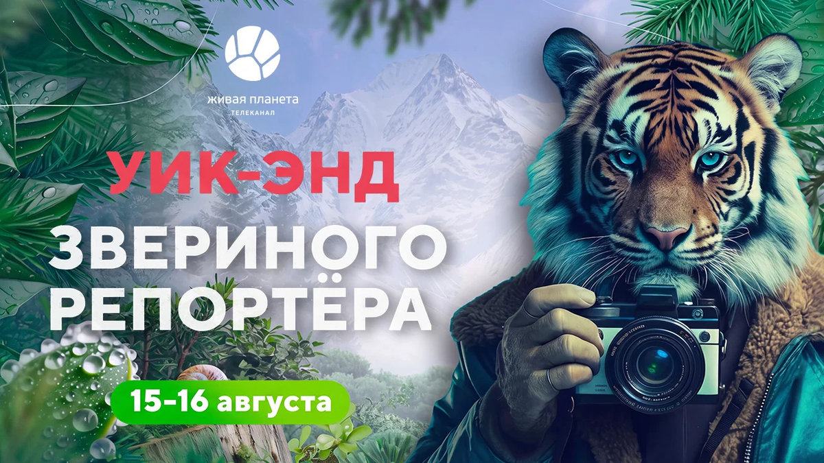 Лапы, усы и хвосты: уик-энд «Звериного репортера» на «Живой Планете»