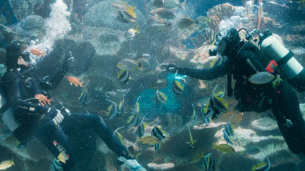 Такое разное кино: что покажет кинофестиваль «Новое движение» в Великом Новгороде