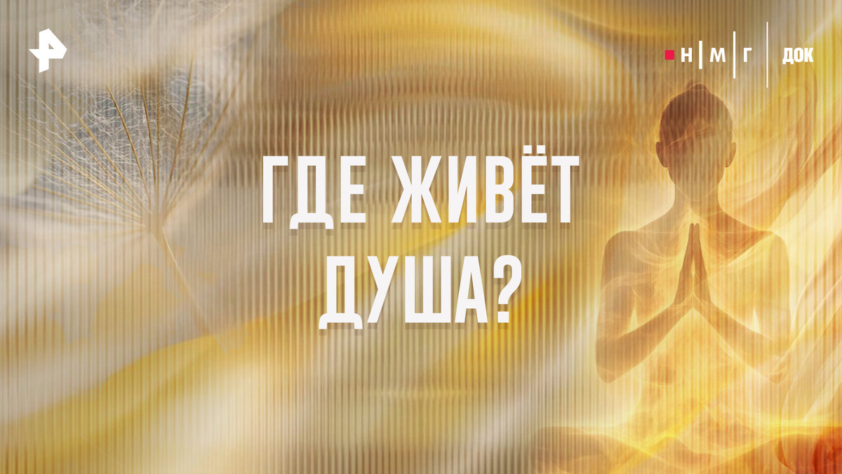 Научно о ненаучном: на РЕН ТВ состоится премьера научно-популярного фильма «Где живет душа?»
