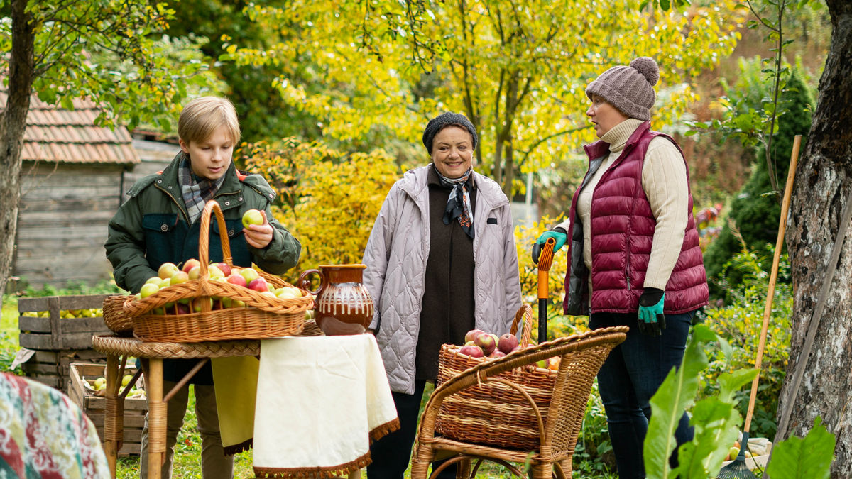 Частные сыщицы: на «России 1» стартует премьера детективного сериала «Лютик и Анютик» с Розановой и Цыплаковой