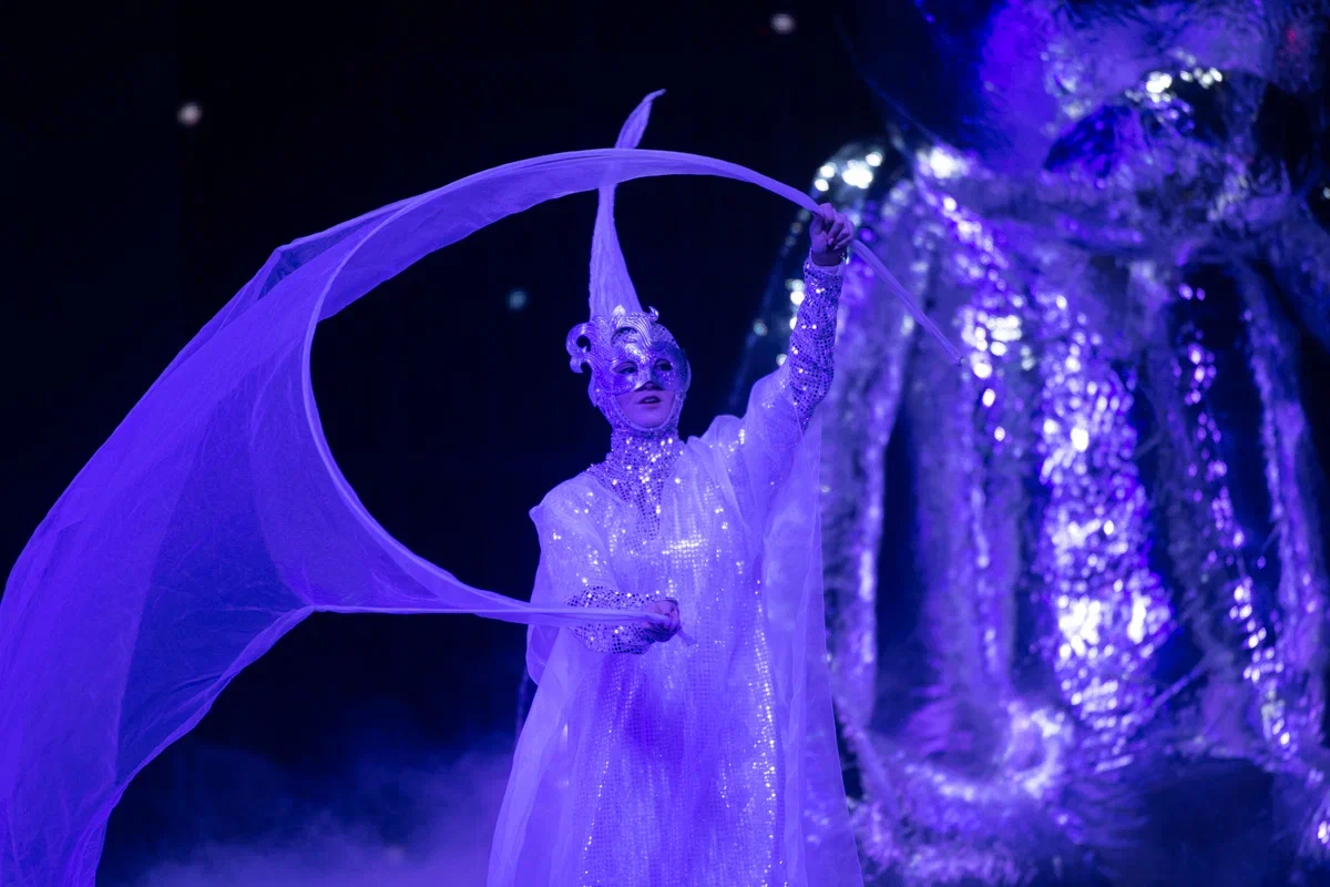 Праздник к нам приходит: не пропустите новогоднее шоу во Дворце Ирины Винер 