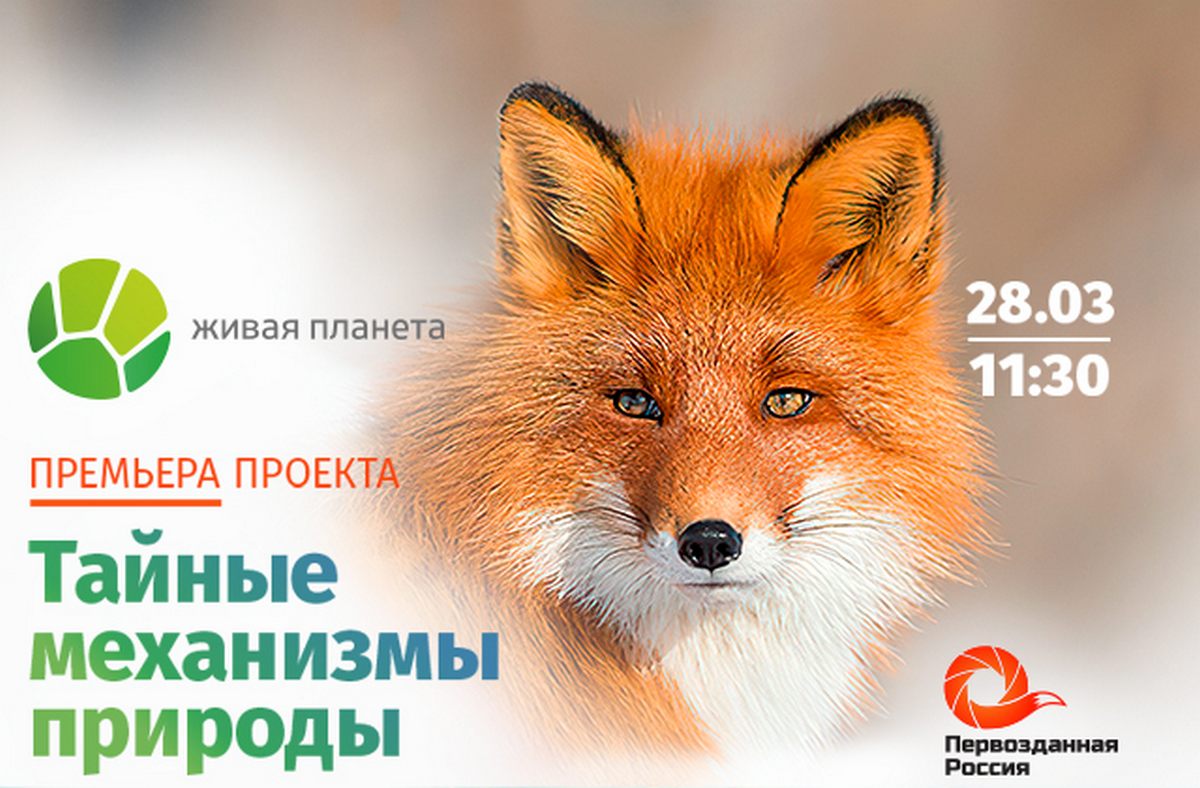 «Тайные механизмы природы»: новый проект «Живой планеты» скоро выйдет в эфир