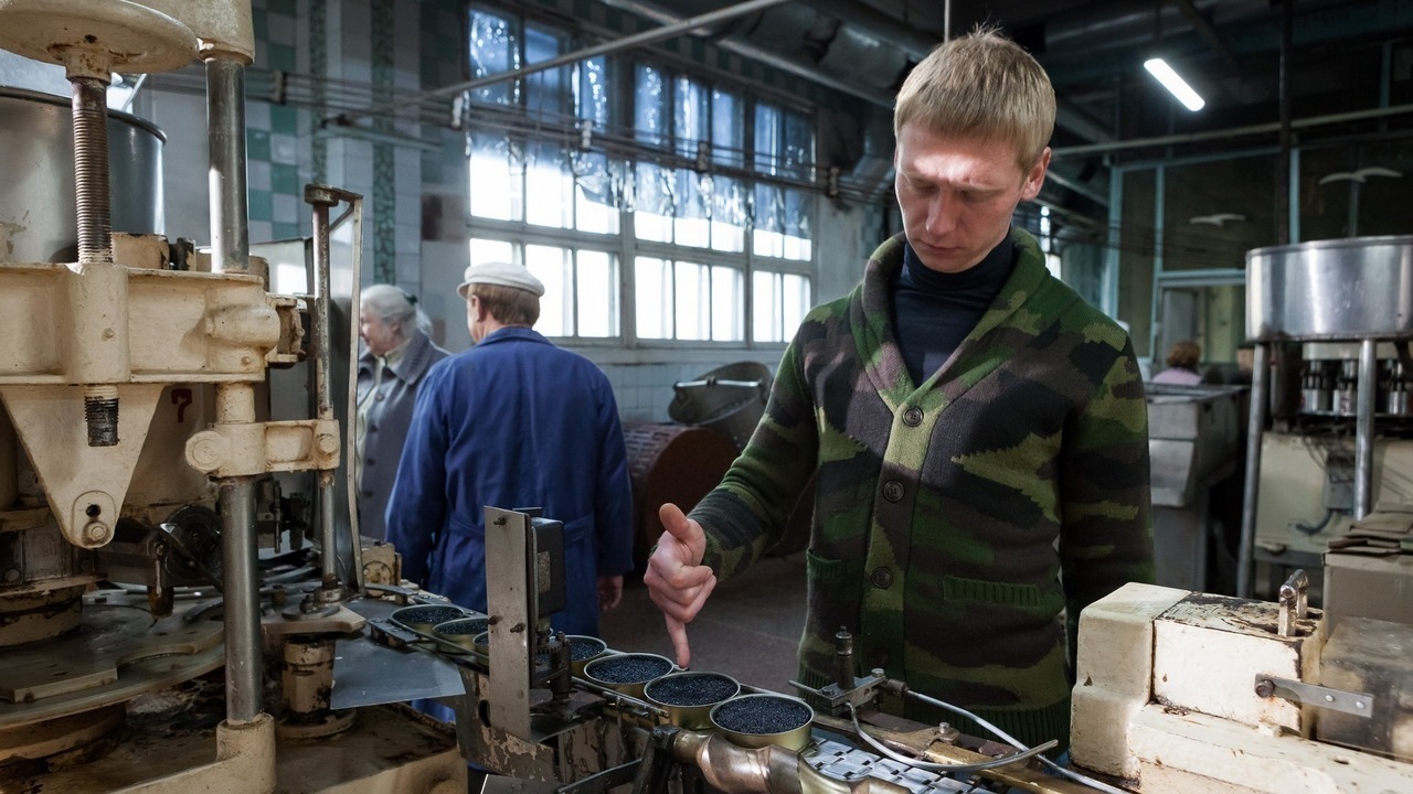 Рыба гниет с головы