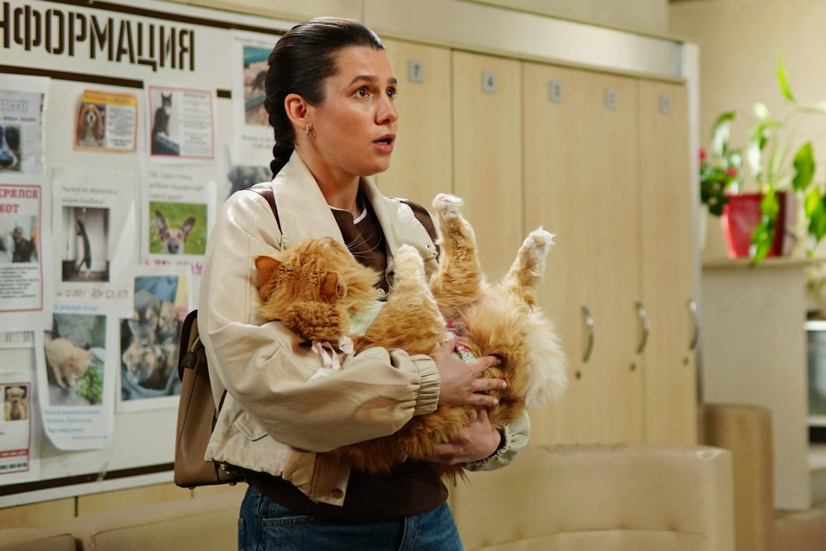 На телеканале «ТВ Центр» стартует премьерный показ новых серий детективной мелодрамы «Мои звери»