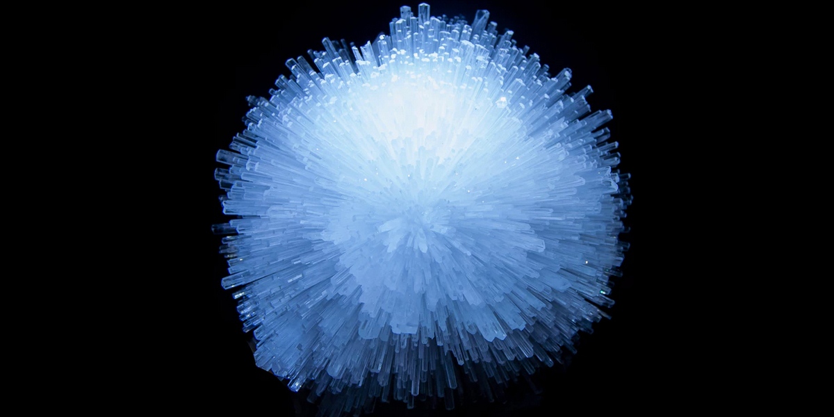 «Сверхспособности» на «Науке»