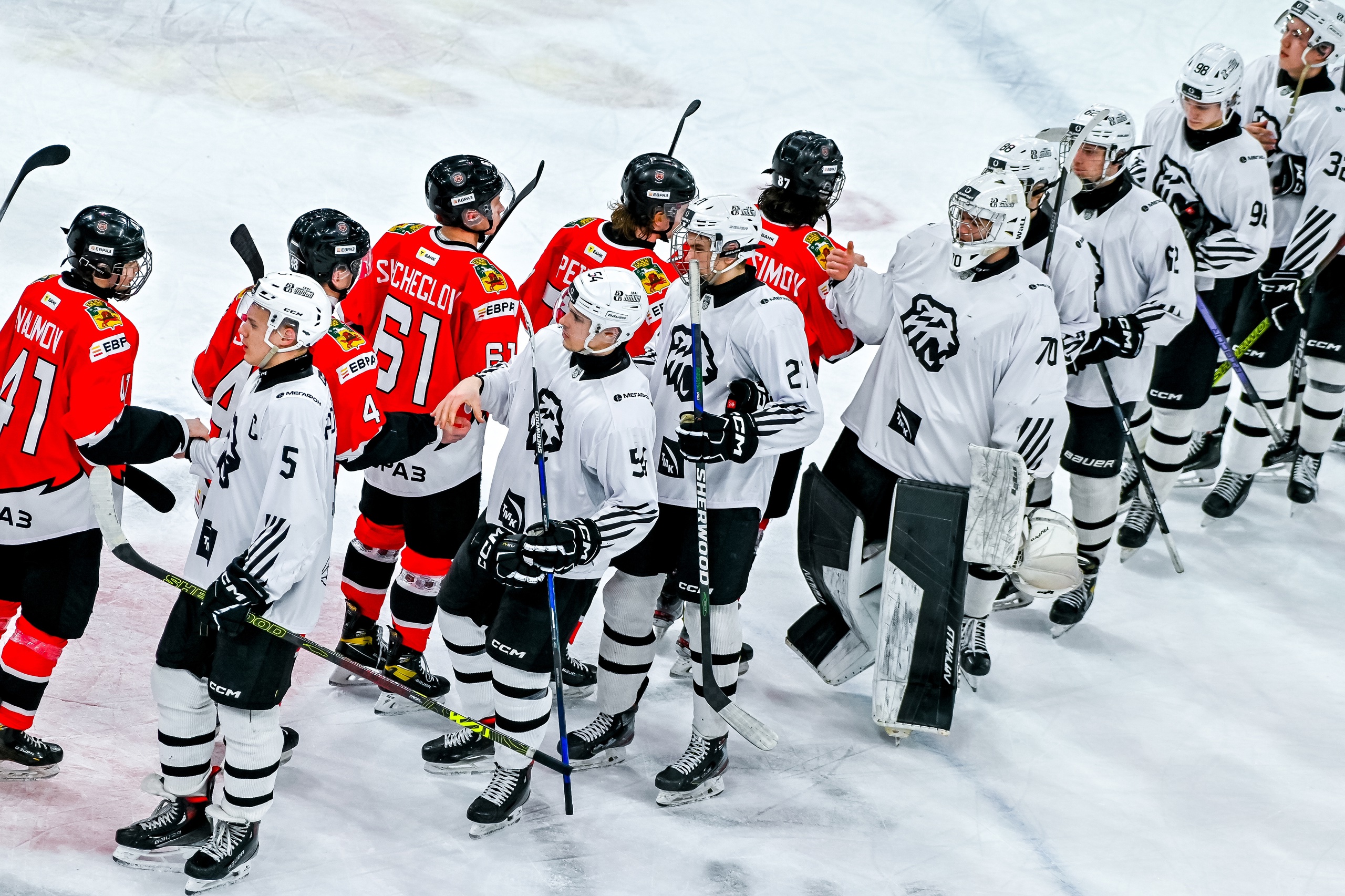 «Медведи», «Рыси», «Чайка», «Акулы», «Молот» и «Динамо»: много трансляций матчей Молодёжной хоккейной лиги на канале «Хоккей ТВ»