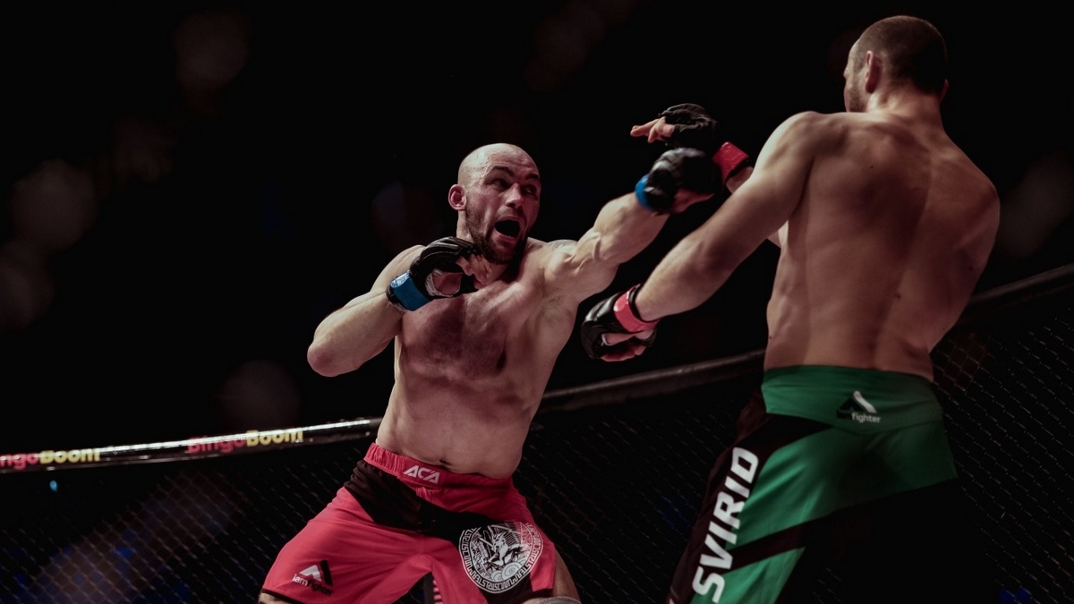 Молот, Тигр и Эйнштейн: смотрим турнир ACA 102 на «МАТЧ! Боец»