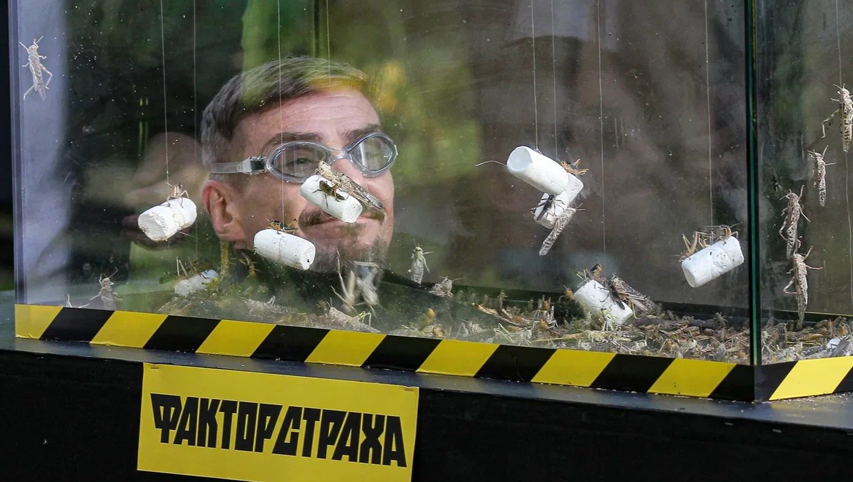 DAVA и Аскольд Запашный стали героями пятого выпуска шоу «Фактор страха» на НТВ