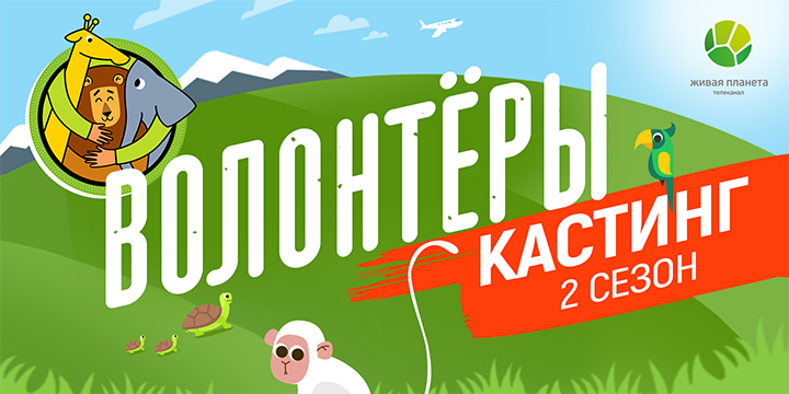 Волонтеры: кастинг в шоу