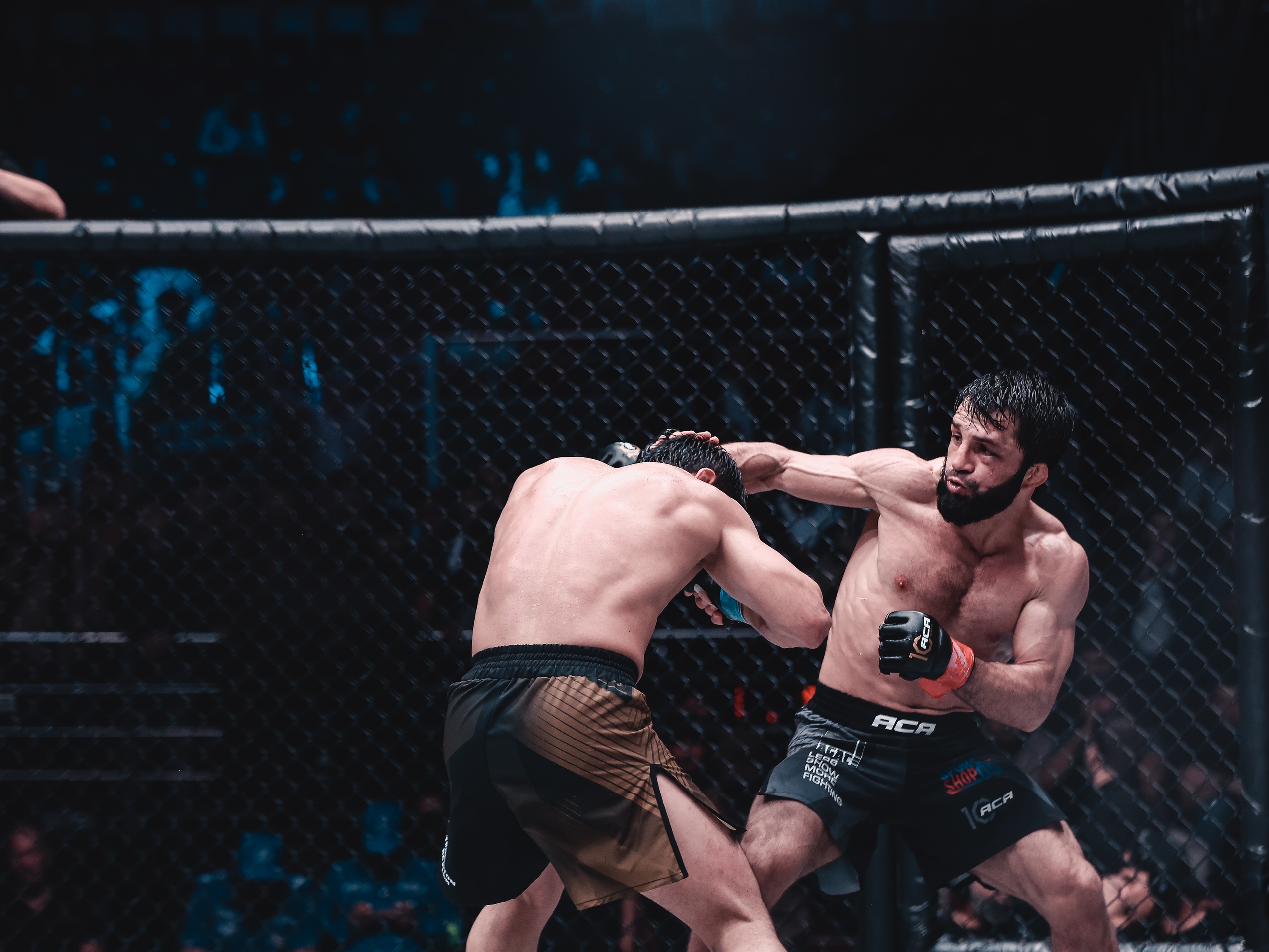 Чемпионский реванш Гаджиев – Пшуков, битва Шайхаев – Резников, схватка имени Донбасса Витрук – Подлесный: не пропустите супертурнир ACA 188 на канале «МАТЧ!»