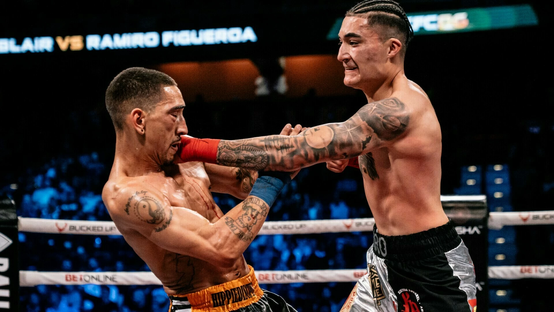 Титульная битва Камоцци – Родригес, бой Фигеро с Брито, Коупленд против Уиллиса: Bare Knuckle FC на голых кулаках на канале «МАТЧ!»