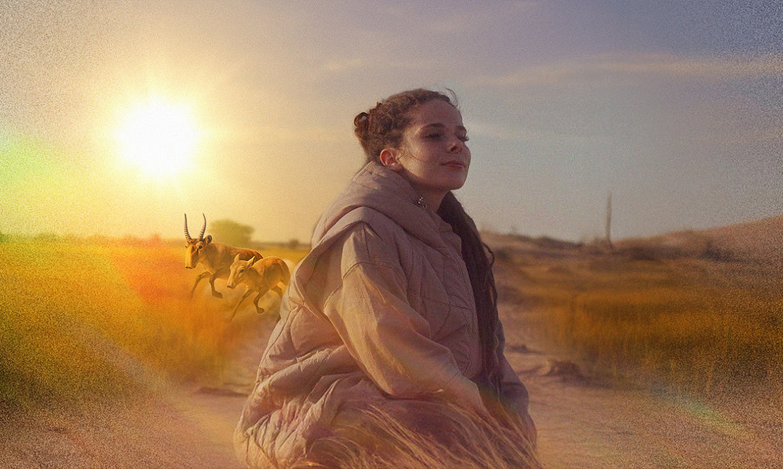 От Калмыкии до Дагестана: на телеканале «Живая Планета» стартует премьера нового цикла программы «Заповедные миры»