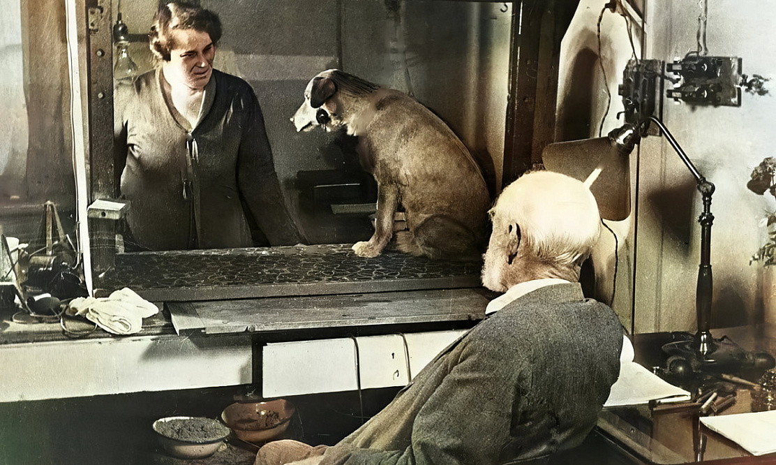 На РЕН ТВ – премьера документального фильма о первом российском нобелевском лауреате «Павлов»