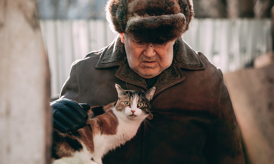 «Пять процентов»: в Санкт-Петербурге начали снимать комедию положений с Юрием Стояновым