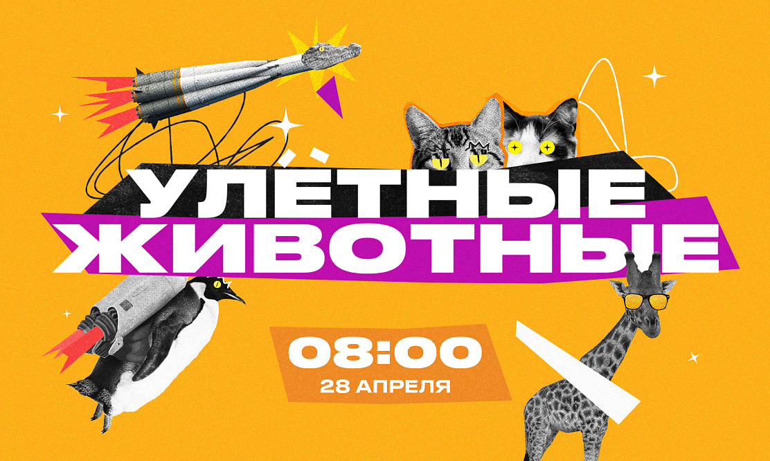 Посмеяться над братьями меньшими: на «ЧЕ!» стартует шоу «Улетные животные»