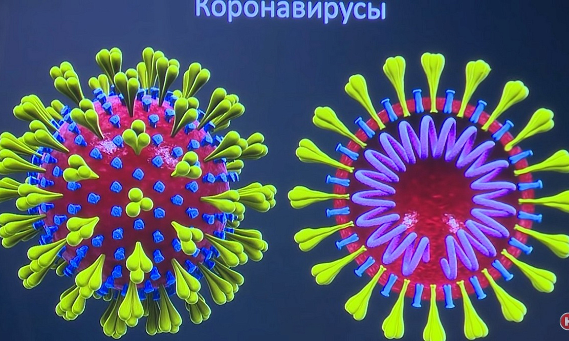 Смертельный вирус из Китая: что это, откуда взялся и почему так опасен коронавирус, расскажут на канале «Наука»