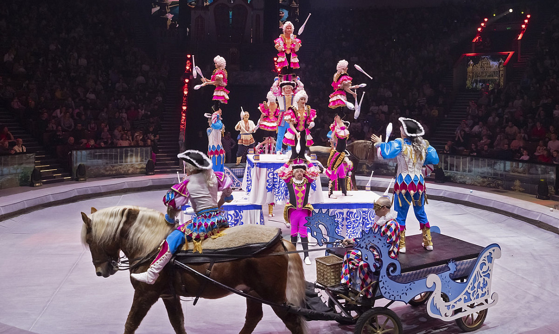 Морское царство: в Петербурге представят премьеру цирковой программы «Сказка о Золотой рыбке»