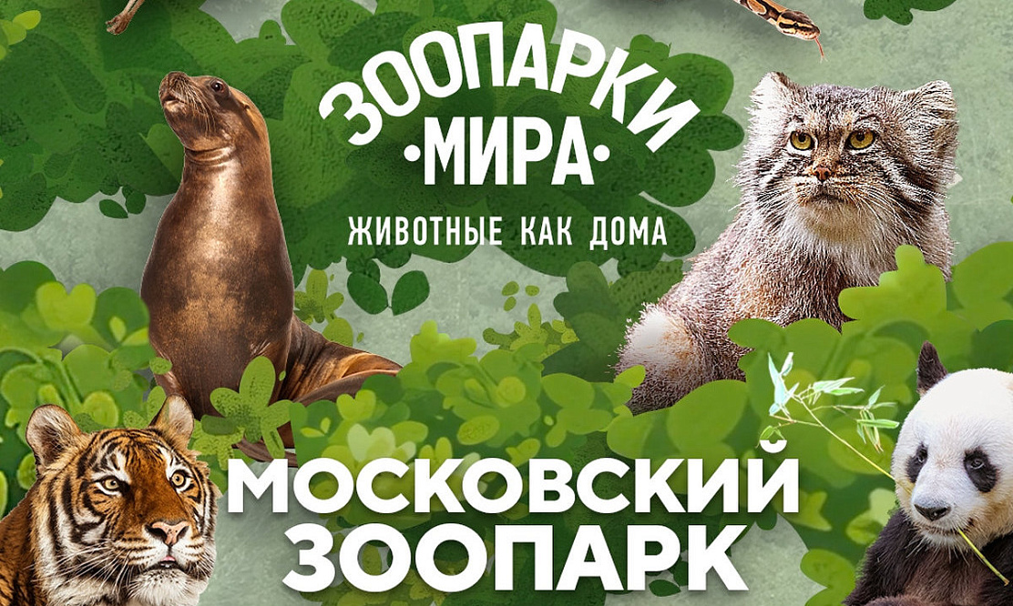 Уик-энд премьер: жизнь сельдяных королей, инстинкты павианов и игры хищников покажет телеканал «Живая Планета»