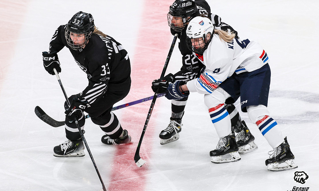 Эпическая битва «Торнадо» – «Агидель»: смотрим Женскую хоккейную лигу на канале «Хоккей ТВ»