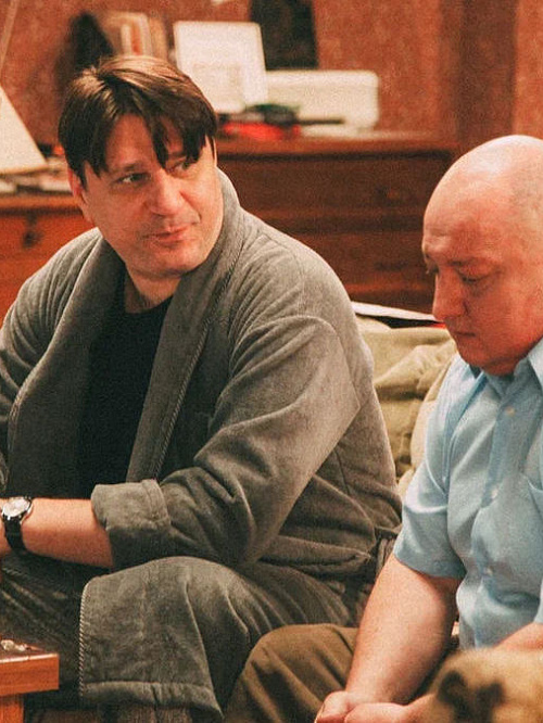 Анальды транспер