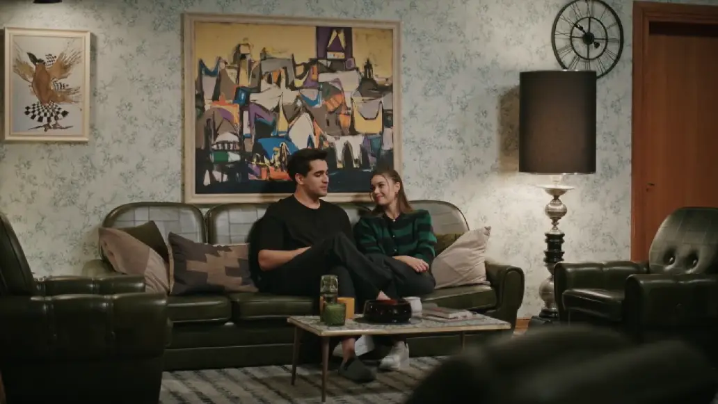 сериал, зимородок, турция, смотреть, онлайн, бесплатно, финал, обзор, подборка, картины в особняке