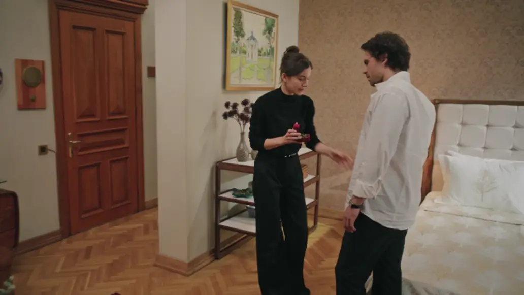 сериал, зимородок, турция, смотреть, онлайн, бесплатно, финал, обзор, подборка, картины в особняке
