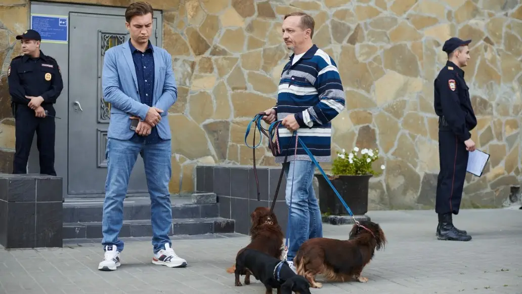 Борщи, НТВ